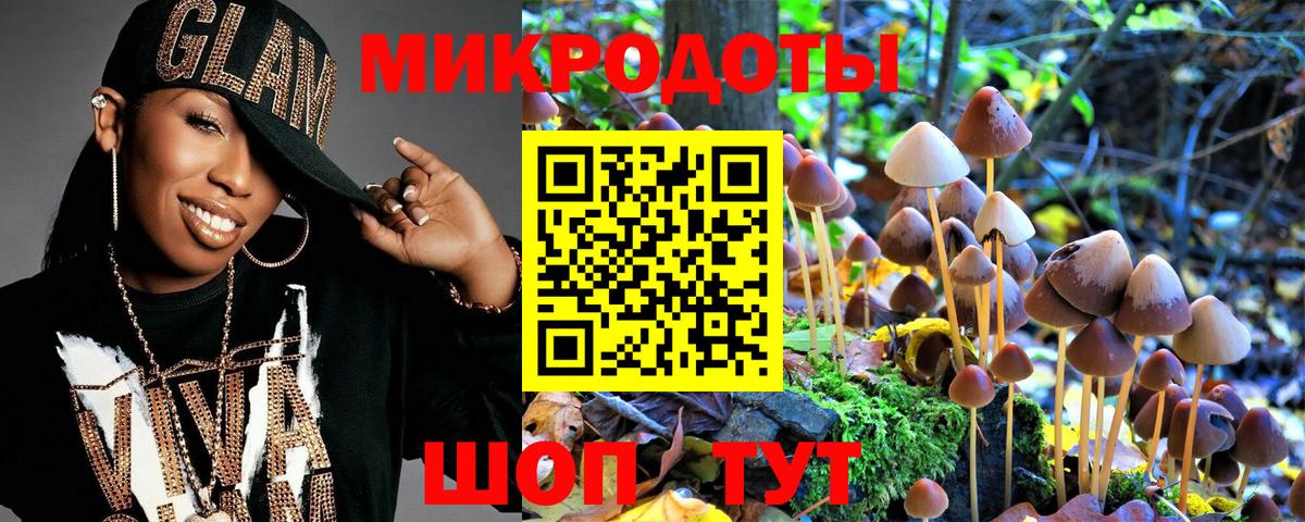 Галлюциногенные грибы Cubensis Бирск